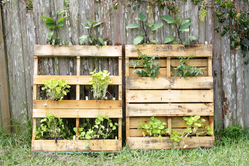 Home garden
