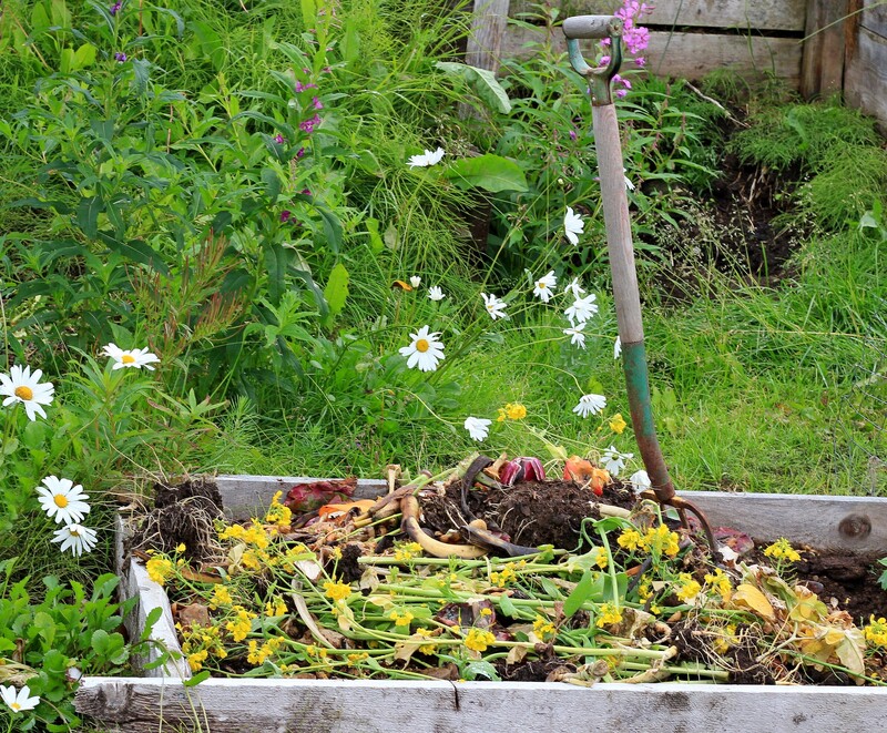 Innovative Waste Conversion to Green Energy Techniques